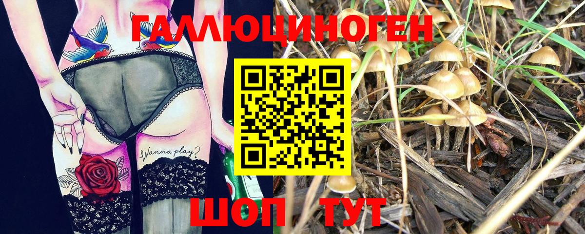 Псилоцибиновые грибы мухоморы  Вход с VPN  Алатырь 